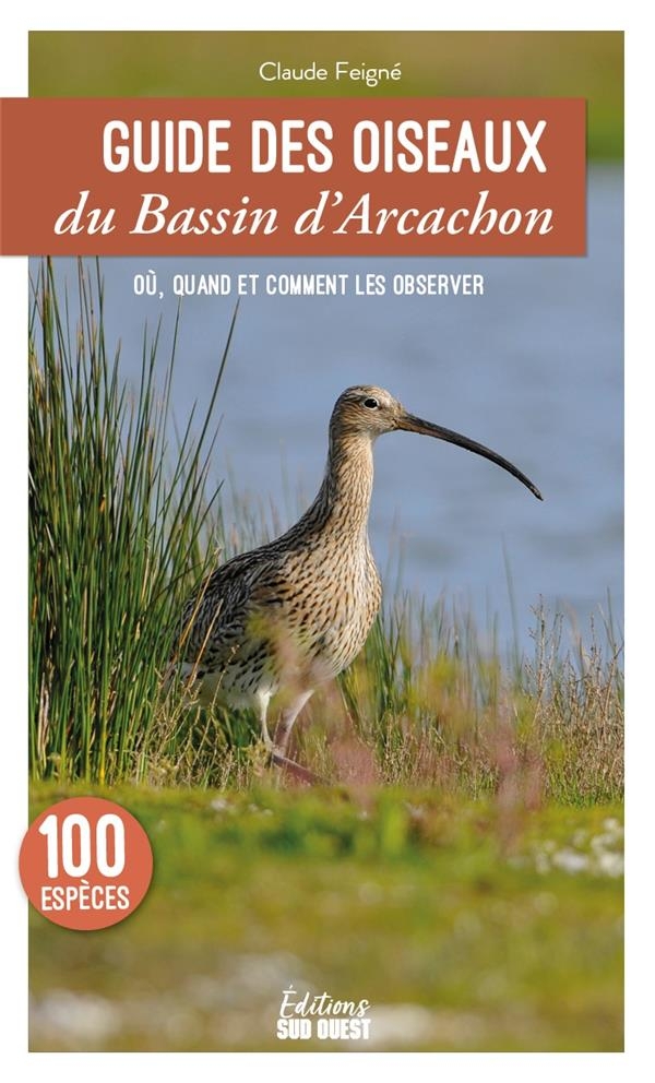 Guide Des Oiseaux Du Bassin D Arcachon Esp Ces D Couvrir Les