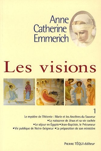 Les Visions AC Emmerich T1