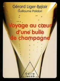 Voyage au coeur d'une bulle de champagne