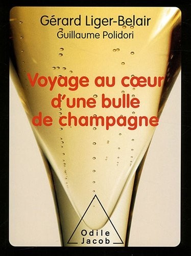 Voyage au coeur d'une bulle de champagne