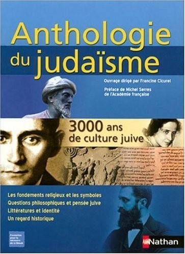Anthologie du judaïsme : 3000 Ans de culture juive, Les fondements religieux et les symboles, Questions philosophiques et pensée juive, Littérature et identité, Un regard historique