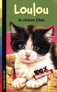Loulou le chaton filou