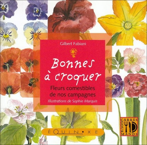 Bonnes à croquer : Fleurs comestibles de nos campagnes