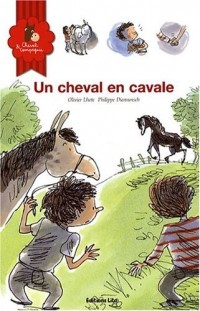 Cheval et Compagnie, Tome 3 : Un cheval en cavale (cheval, poney, sauvage, frère)