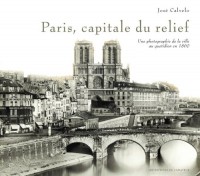 Paris, capitale du relief : Une photographie de la ville au quotidien en 1860