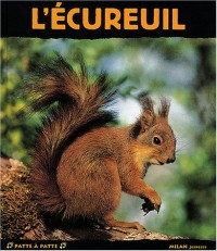 L'Écureuil