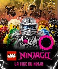 LEGO Ninjago, la voie du ninja