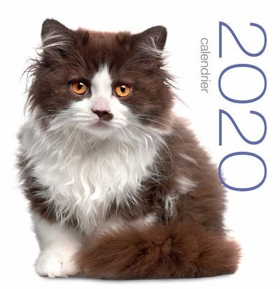 Calendrier mural 2020 - Chats