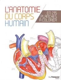 L'anatomie du corps humain en 215 planches à colorier