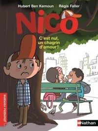 Nico, c'est nul un chagrin d'amour