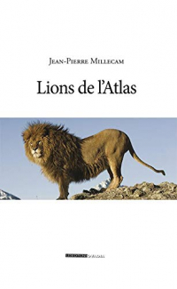 Lions de l'Atlas