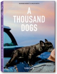 Un millier de chiens