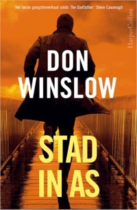 Stad in as (Danny Ryan Book 3) (Dutch Edition)