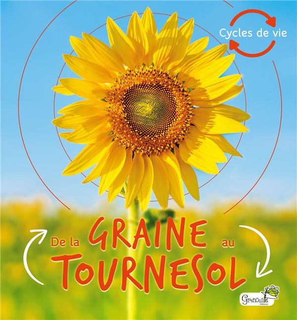 De la Graine au Tournesol