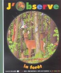 J'observe la forêt