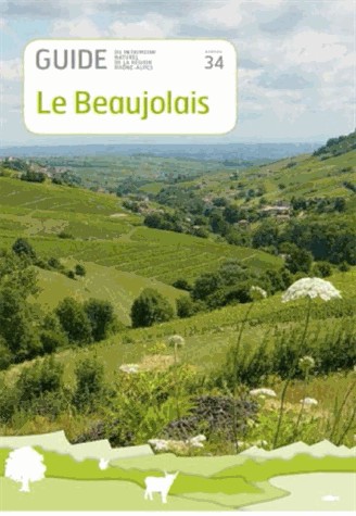 Le retour du chat chapeauté