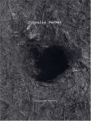 Cornelia Parker : L'infime intimité