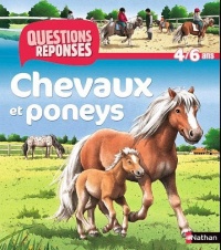 N11 - CHEVAUX ET PONEYS