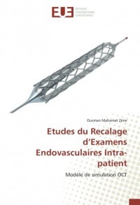 Etudes du Recalage d'Examens Endovasculaires Intra-patient