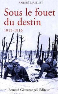 Sous le fouet du destin 1915-1916