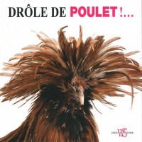 DROLE DE POULET