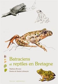 Batraciens et reptiles en Bretagne