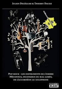 Pop rock - Les instruments de l'ombre : Méconnus, incongrus ou mal-aimés, de l’accordéon au xylophone