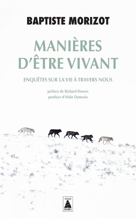 Manières d'être vivant: Enquêtes sur la vie à travers nous