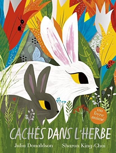 Cachés dans l'herbe : un livre animé – Album jeunesse à flaps – À partir de 4 ans