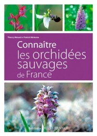 Connaitre les orchidées sauvages de France