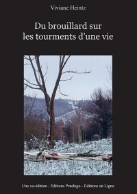 Du brouillard sur les tourments d'une vie