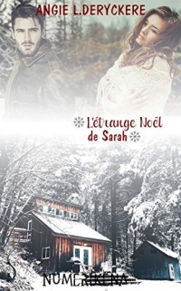 L'étrange Noël de Sarah: Dirty Loft, T5