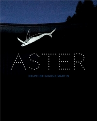 Delphine Gigoux-Martin. Aster&co