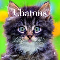 Chatons - Calendriers 2023