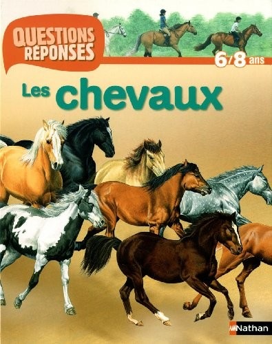 N01 - CHEVAUX