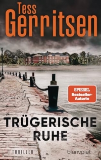 Trügerische Ruhe: Roman