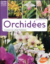Orchidées - Comment les cultiver facilement