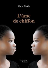 L'âme de chiffon - Le secret