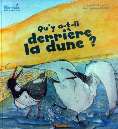 Qu'Y a T Il Derrière la Dune