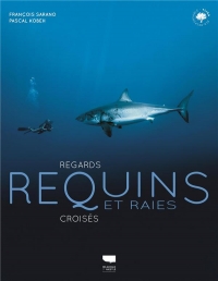 Requins et raies. Regards croisés: Regards croisés