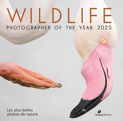 Wildlife Photographer of the Year 2025: Les plus belles photos de nature