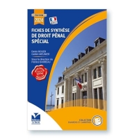 Fiches de synthèse de droit pénal spécial