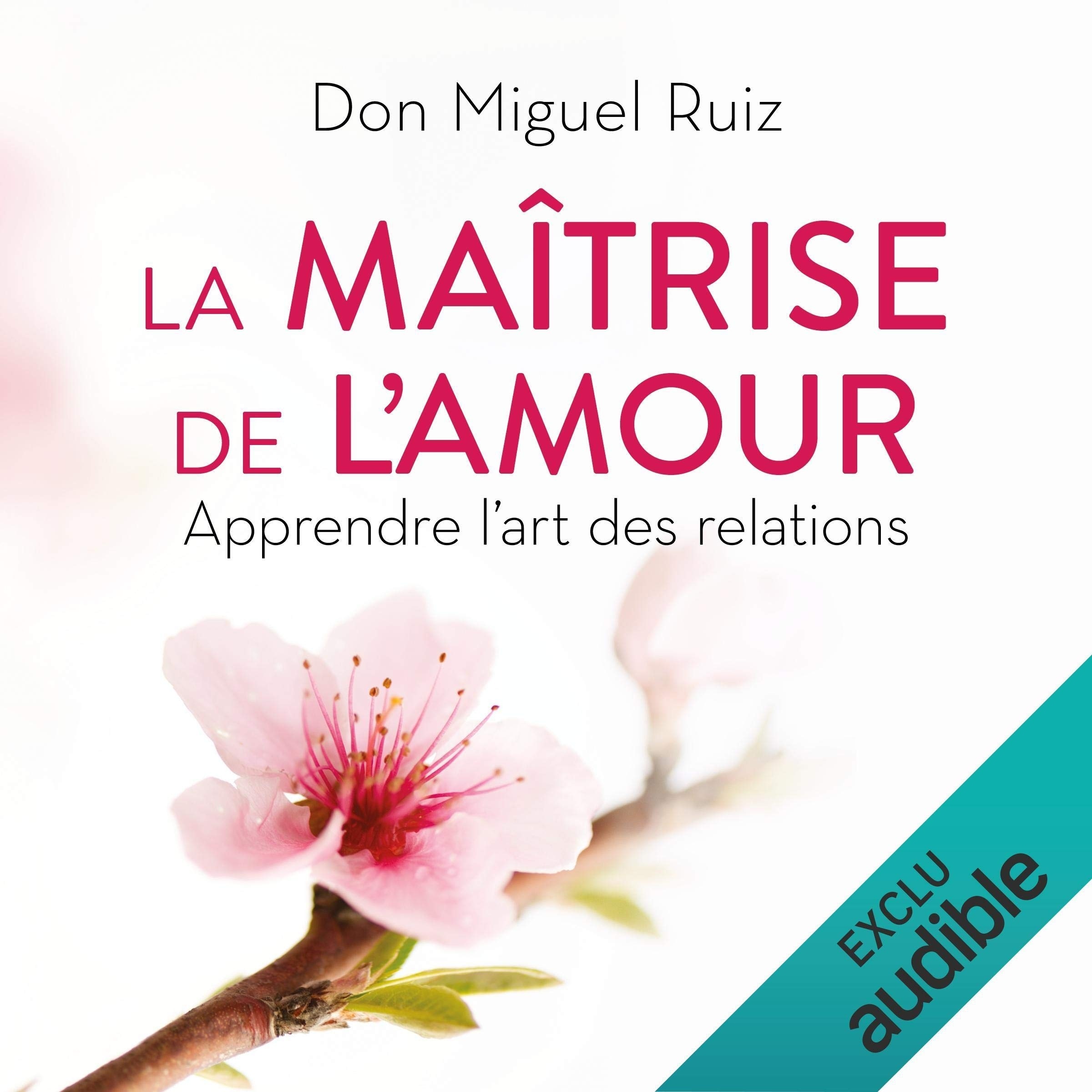 La maîtrise de l'amour: Apprendre l'art des relations