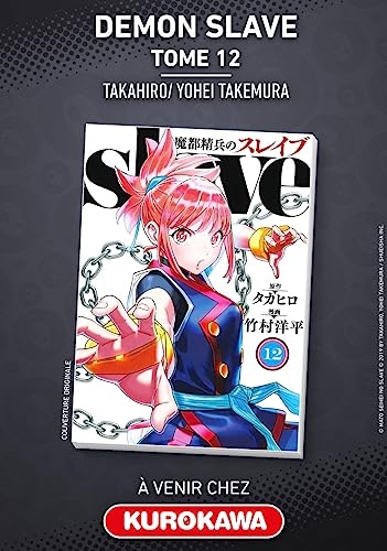 Demon Slave - Tome 12