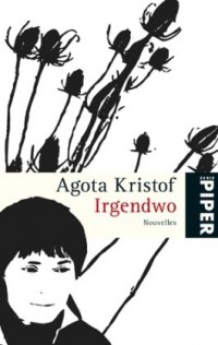 Irgendwo: Nouvelles [9783492251969]