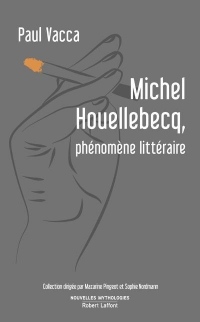 Michel Houellebecq, Phenomene Litteraire