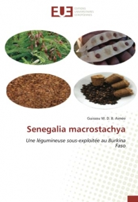 Senegalia macrostachya: Une légumineuse sous-exploitée au Burkina Faso