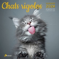 Calendrier Chats rigolos 2024