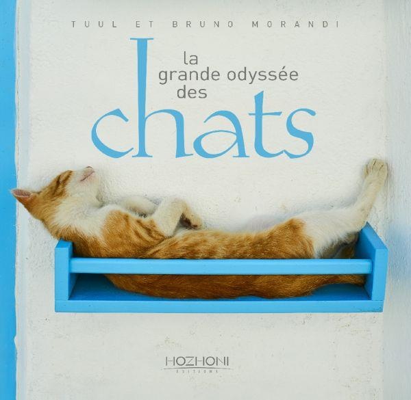 La Grande Odyssée des Chats