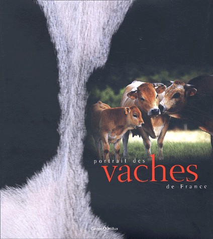 Portrait Des Vaches De France